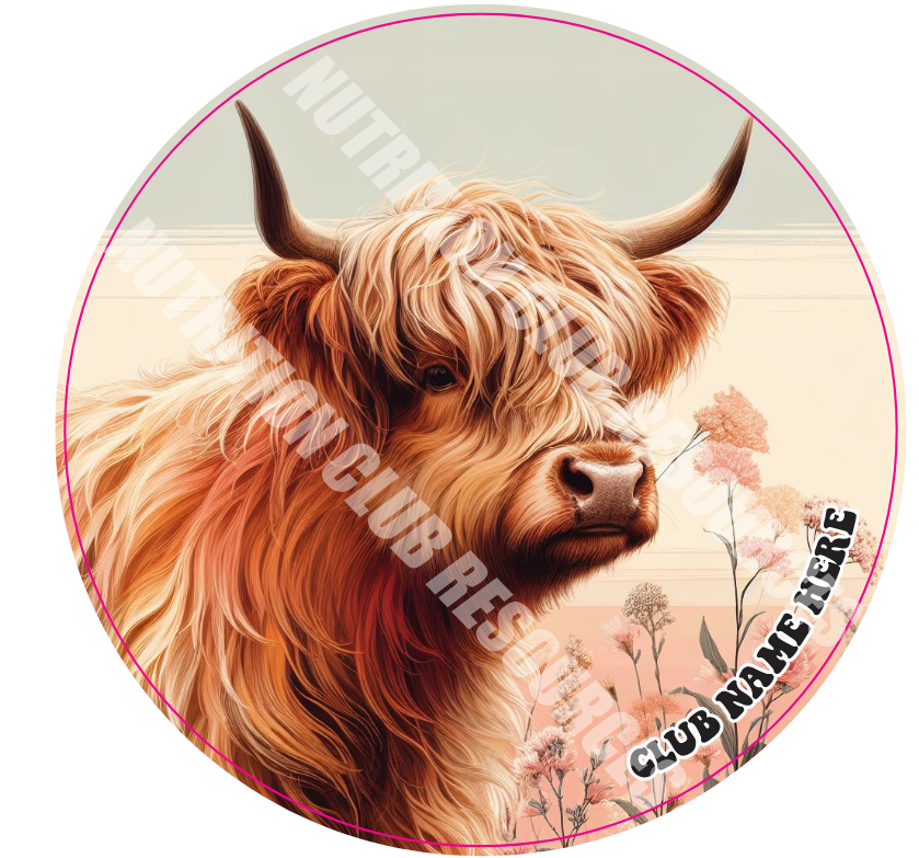 HIGHLAND COW SET #1