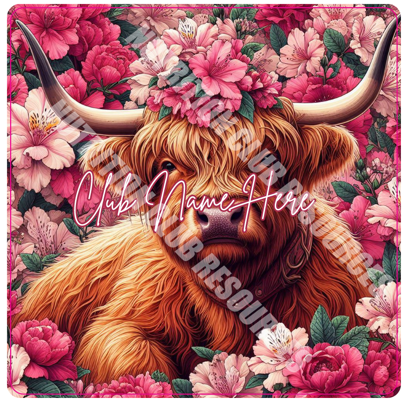 HIGHLAND COW SET #3