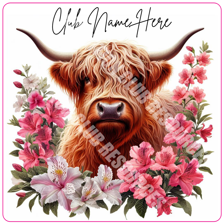 HIGHLAND COW SET #4