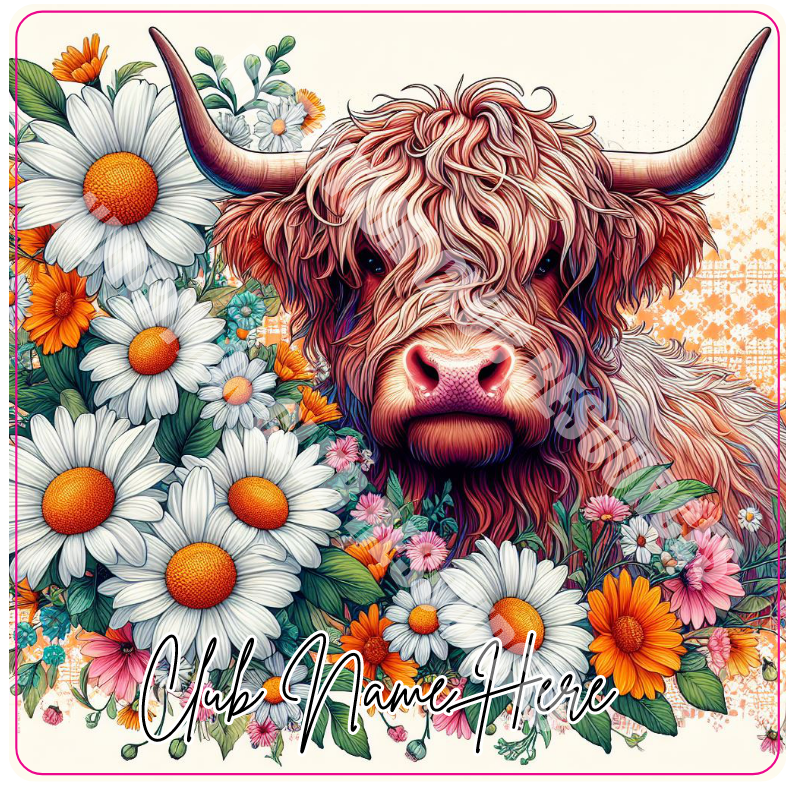 HIGHLAND COW SET #4