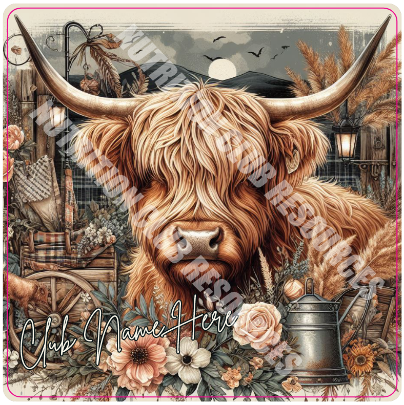 HIGHLAND COW SET #5