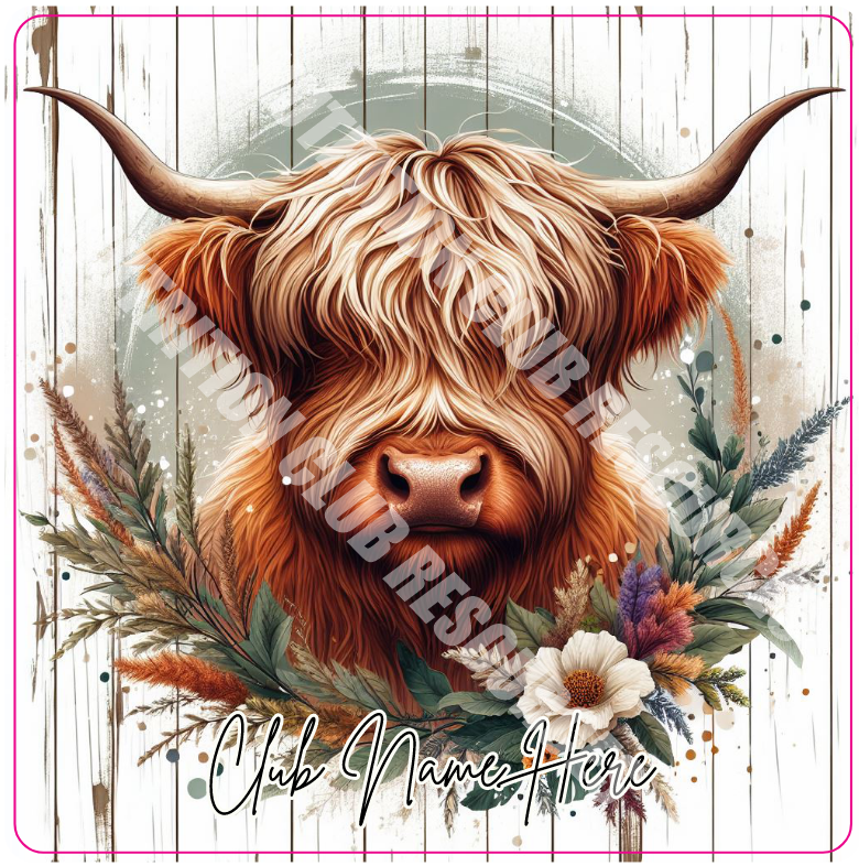 HIGHLAND COW SET #5