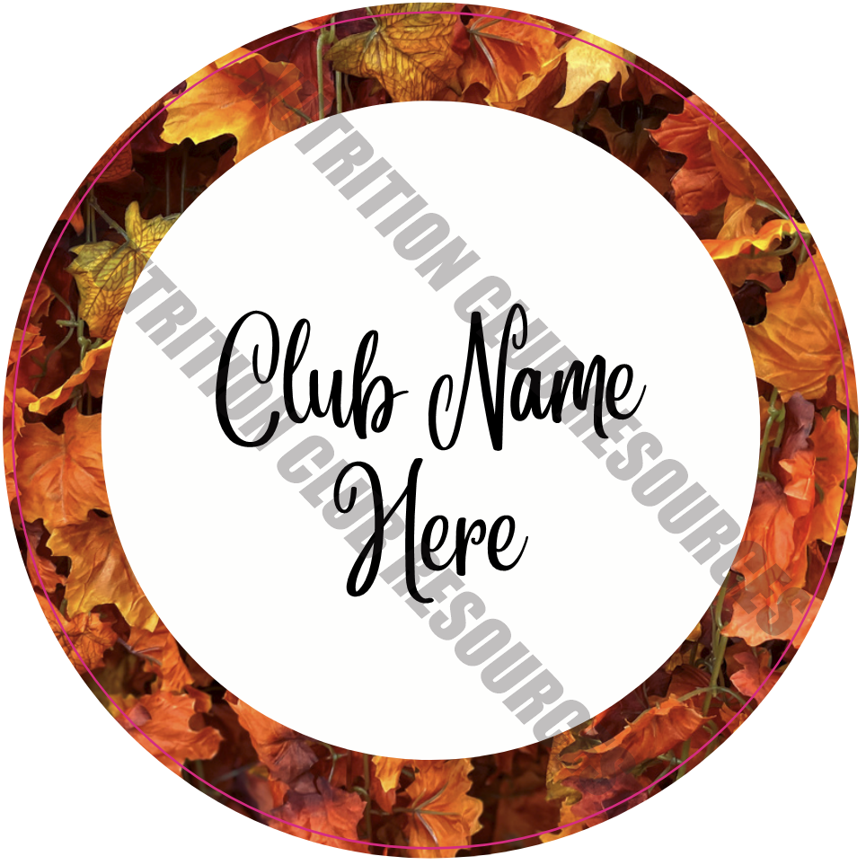 FALL SET #4