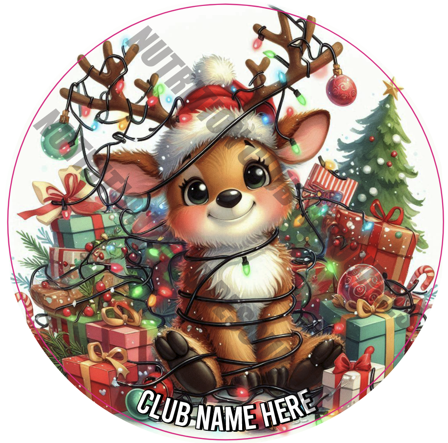 CHRISTMAS SET #14