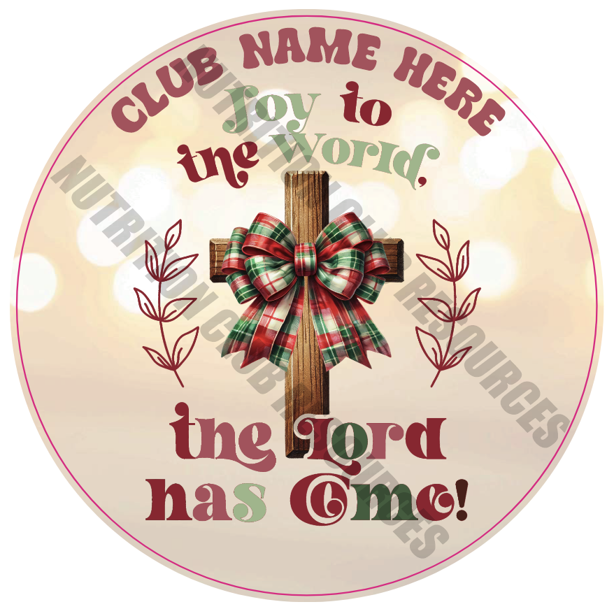 CHRISTMAS SET #21