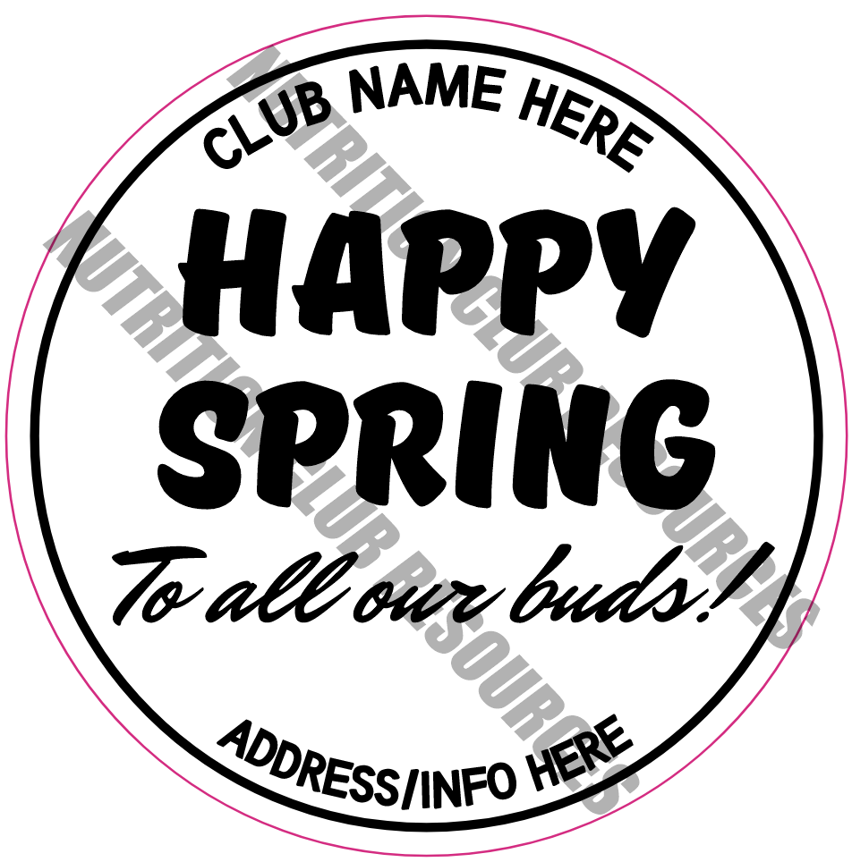 TRANSPARENT SPRING SET #1