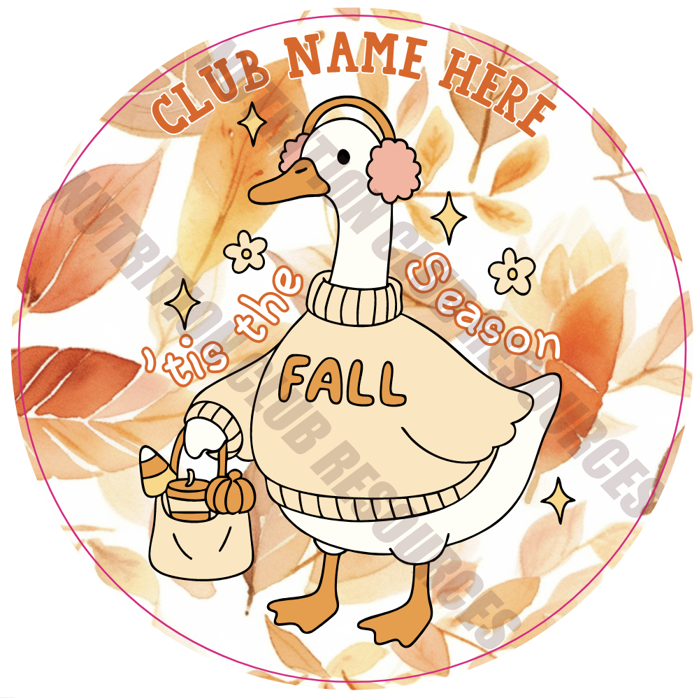 FALL SET #25