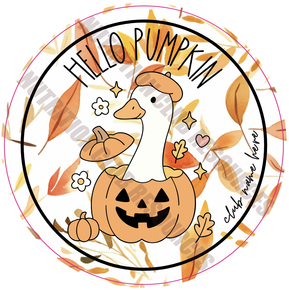 FALL SET #25