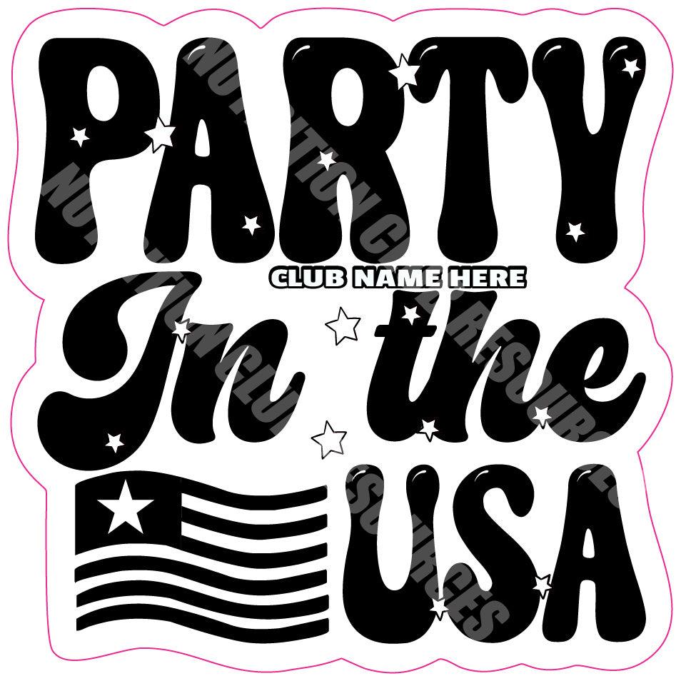 TRANSPARENT 4TH OF JULY SET #2