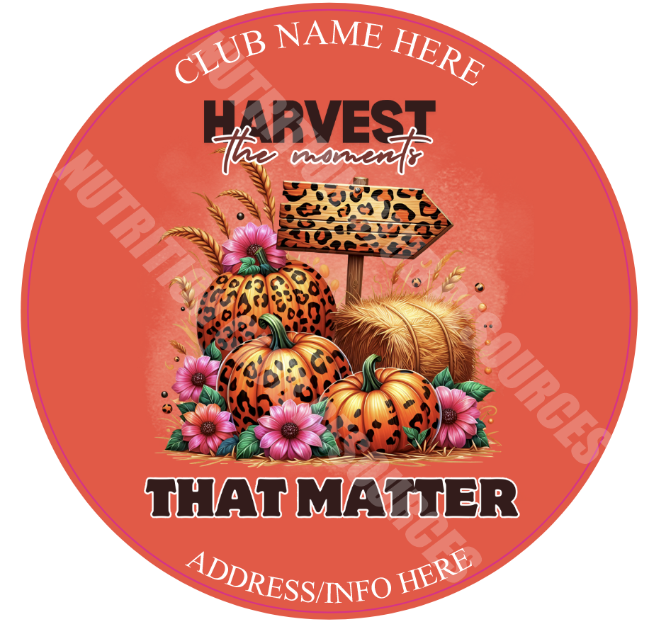 FALL SET #17