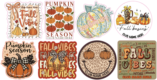 FALL SET #27