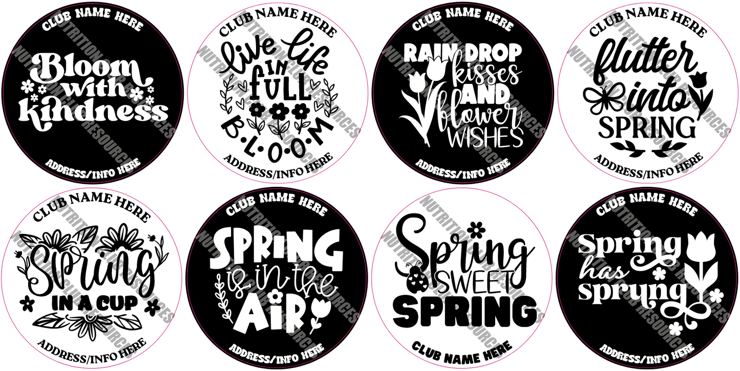 TRANSPARENT SPRING SET #2