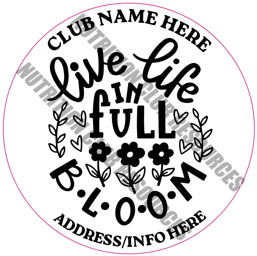 TRANSPARENT SPRING SET #2