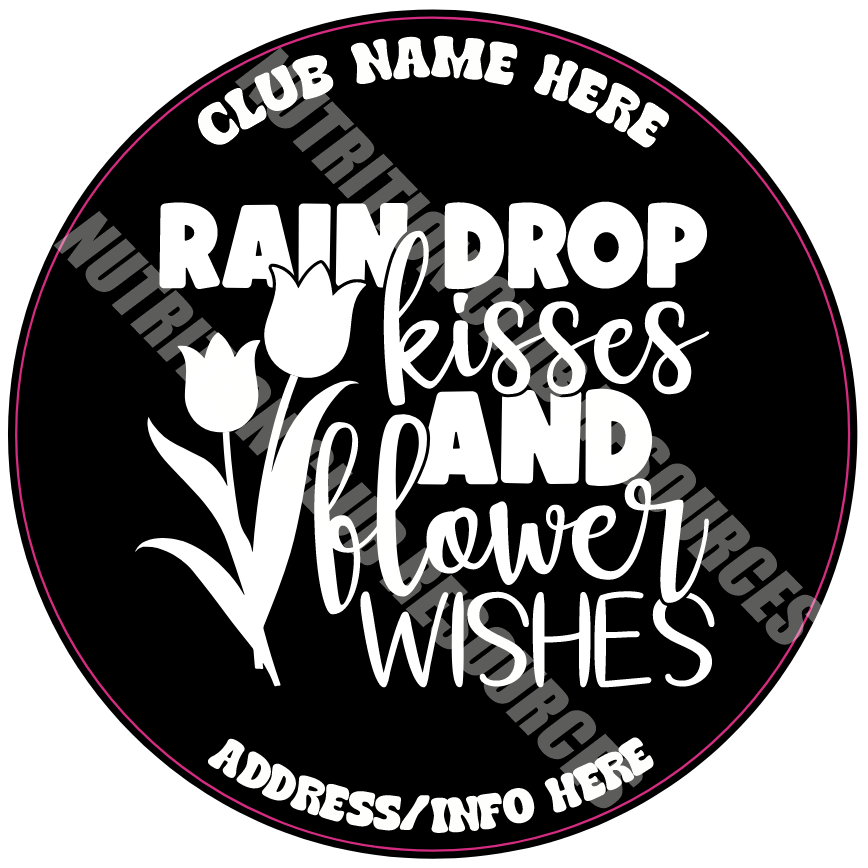 TRANSPARENT SPRING SET #2