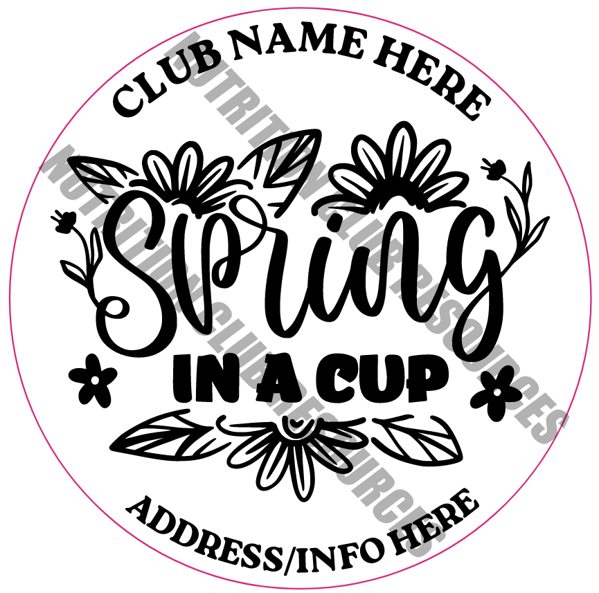 TRANSPARENT SPRING SET #2