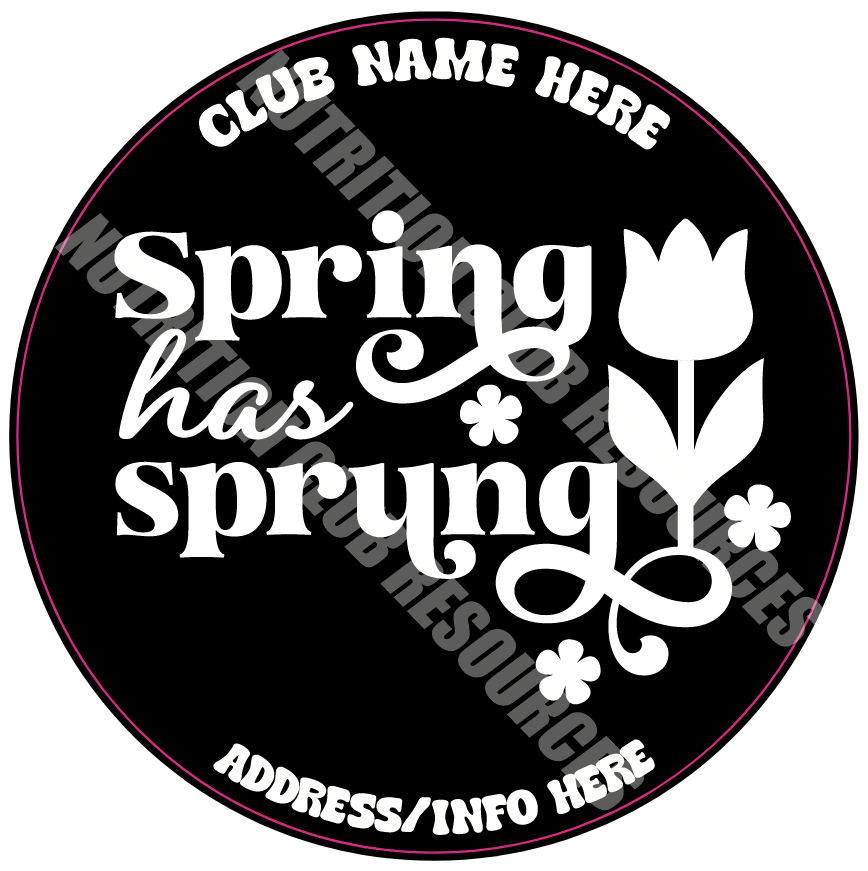 TRANSPARENT SPRING SET #2